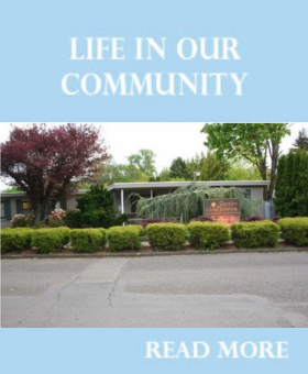 Life in Our Community 2